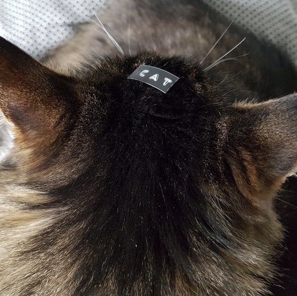 Meet your Posher, Cristin - Picture 1 of 1